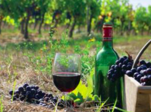 Georgian wine. Credit to VOA