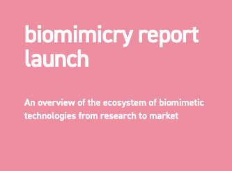 Biomimicry Report 2021. Credit to SparkYork