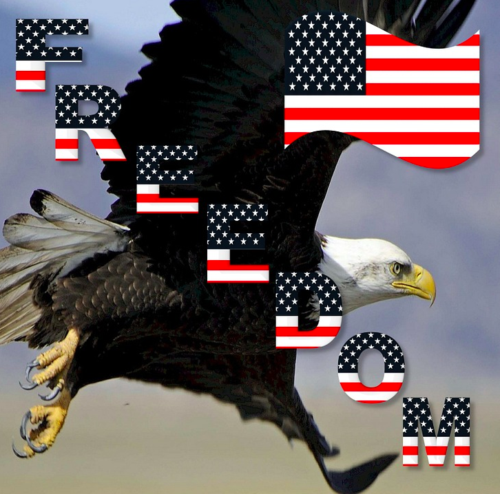 An American Eagle of Freedom (MN). Credit: Elle Ritter/ZIPNON