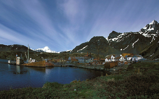 Grytviken panorama