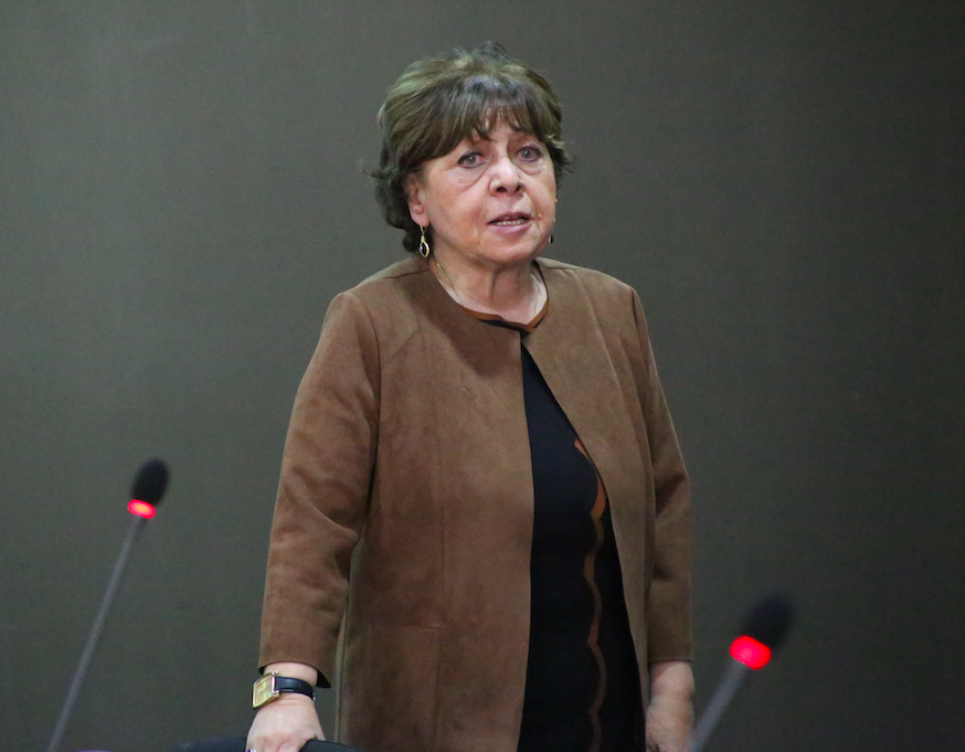 Professor Baia Koroshinadze at the public lecture by Nathan Carpenter. Credit to Mari Moseshvili