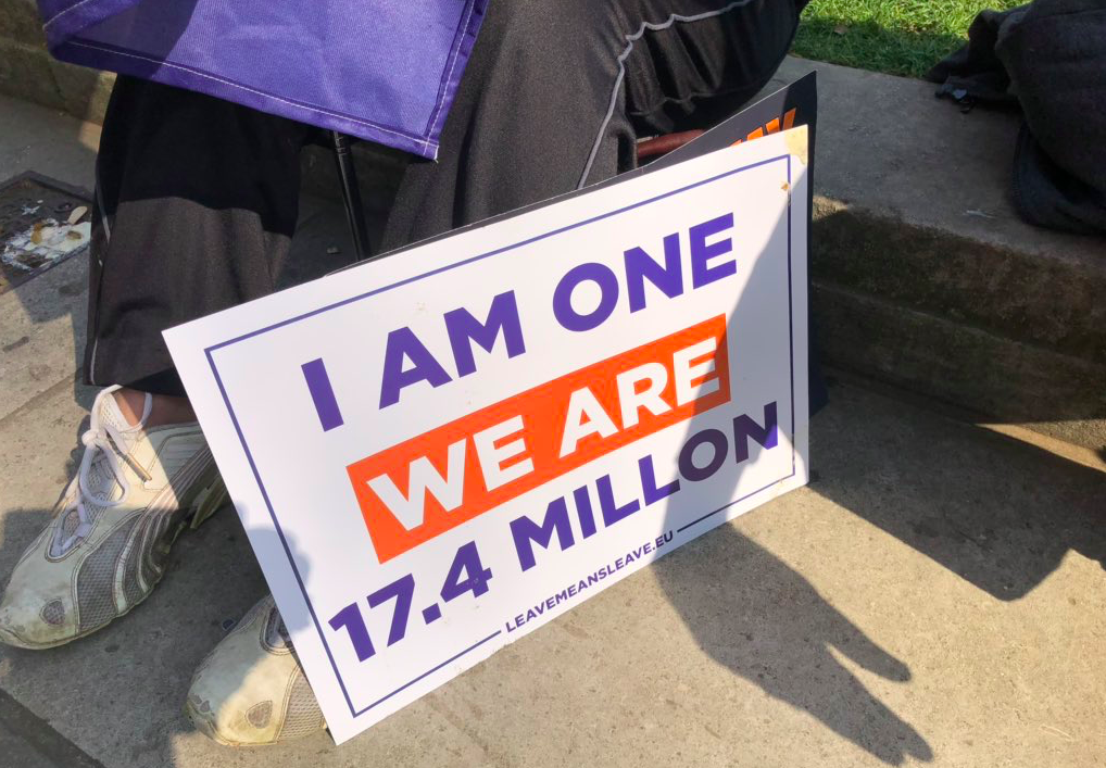 'I am one, we are 17.4 million'. Credit: Suzanne Evans on Twitter