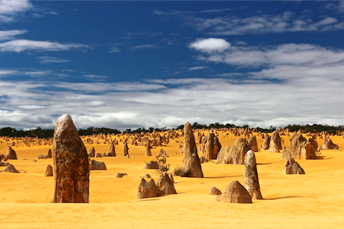 Field of rocks