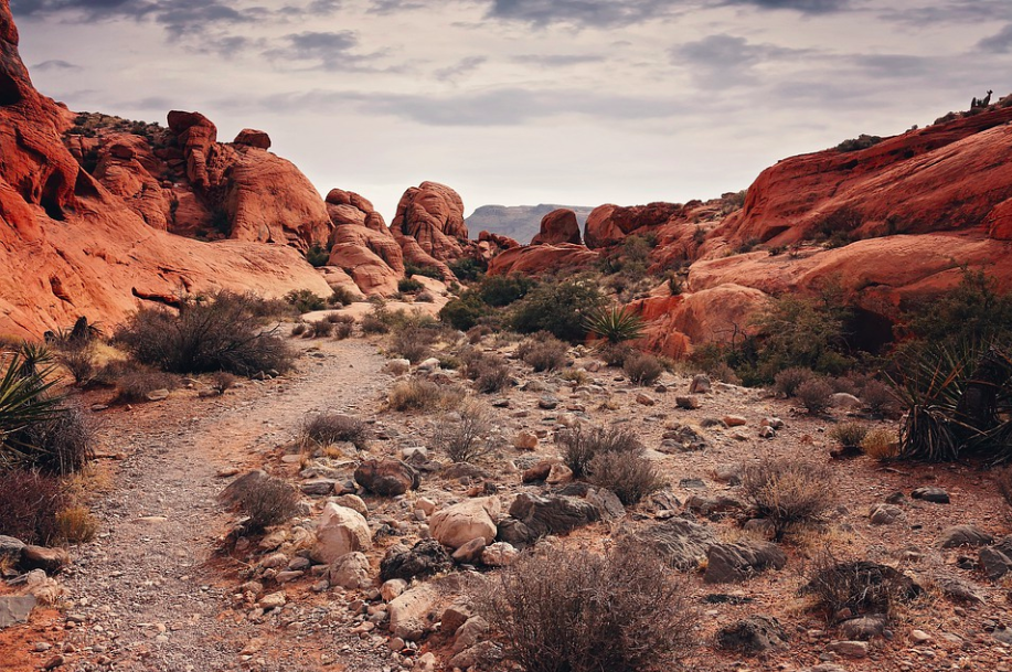 Red Rock Canyon National Conservation Area in Nevada desert. Credit to esudroff