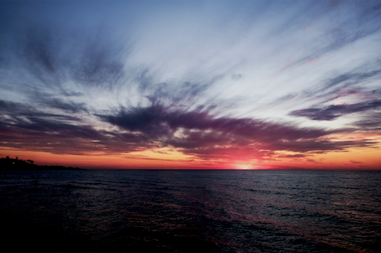 Ocean in Oz
