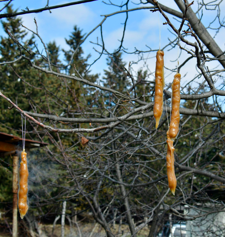 Drying fresh Churchellas on the tree branches during Berikaoba ritual (2021). Credit to Badri Vadachkoria