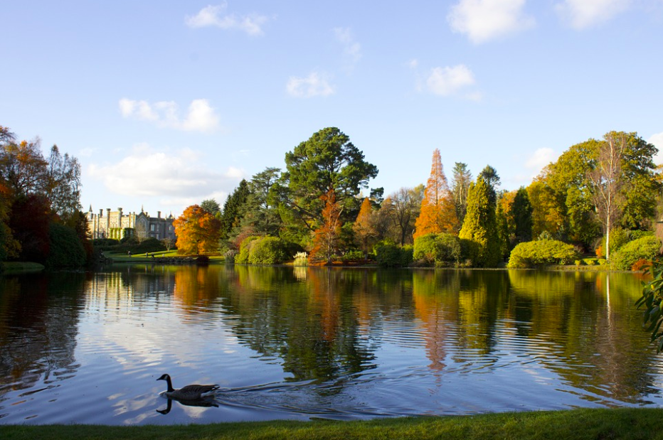 Sheffield park