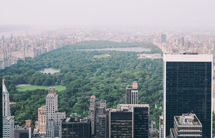 Central Park, NYC