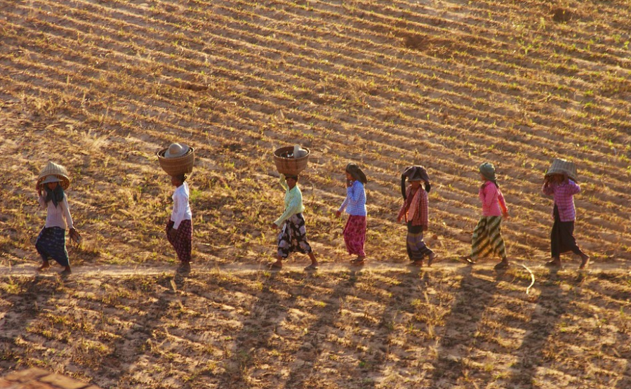 Burma agriculture