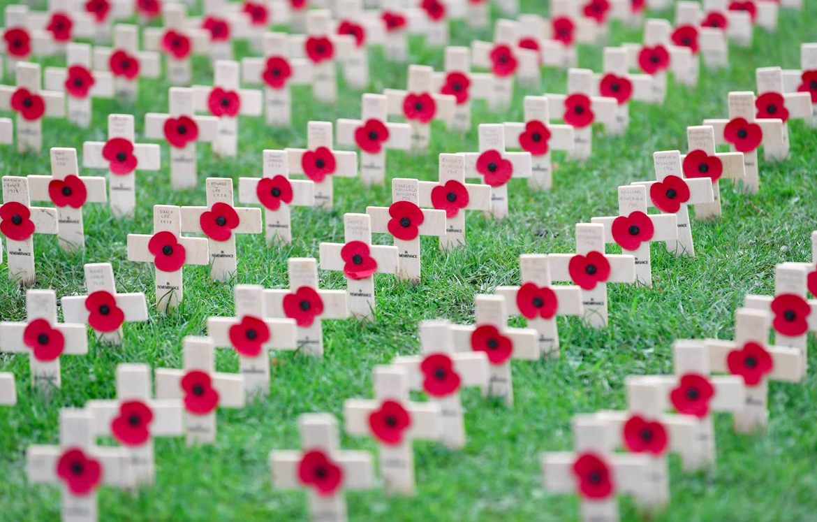 Remembrance poppies at a war memorial in Hartlepool. Credit: AFP via Getty Images/The Standard