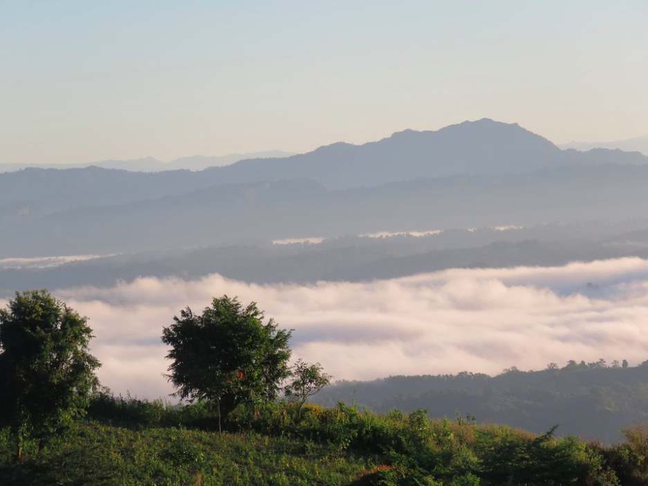 The Nilgiri Mountains, literally, blue hills