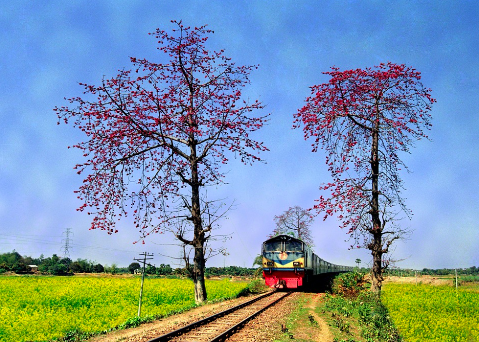 A train, Bangladesh
