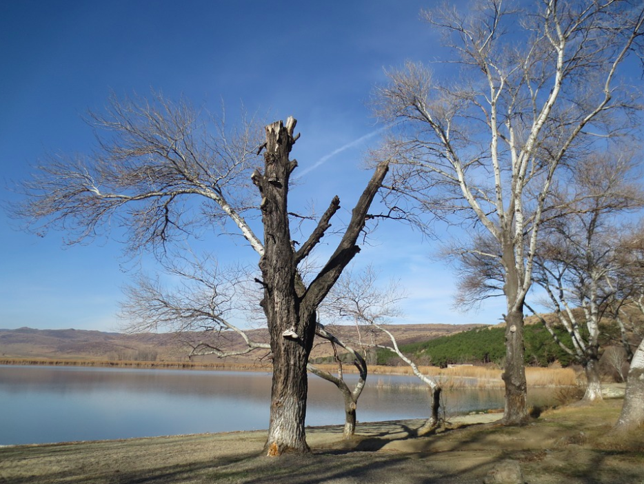 Lisi Lake, Tbilisi