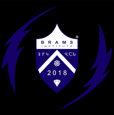 BRAMS Institute logo with circled R 03. Credit to Maia Nadareishvili