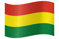 Bolivia flag waving