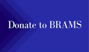 Donate to BRAMS