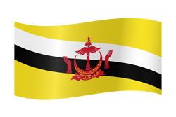 Brunei flag waving