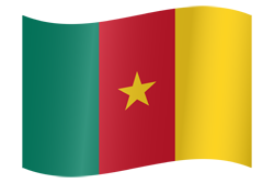 Cameroon flag waving