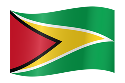 Guyana flag waving