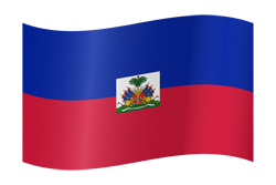 Haiti flag waving